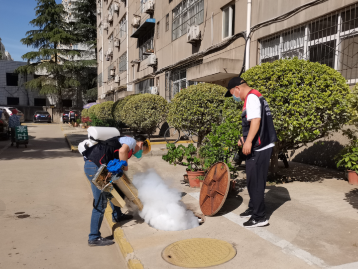 华电兴业：开展灭蟑行动 