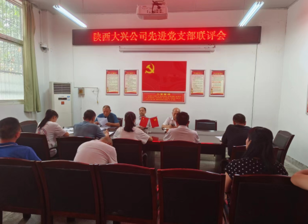 大兴染织：组织召开先进党支部联评会